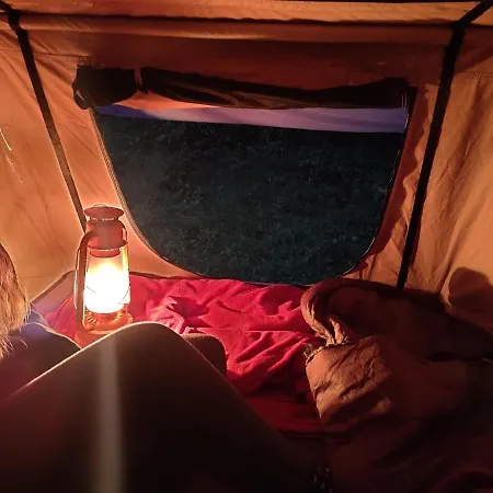 Roof Top Tent